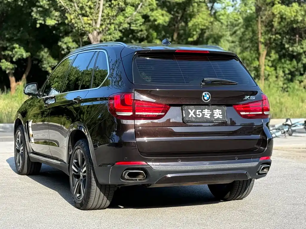 BMW X5 (Import) — миниатюра 18
