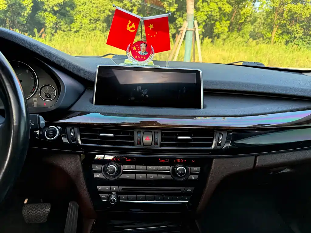 BMW X5 (Import) — миниатюра 14