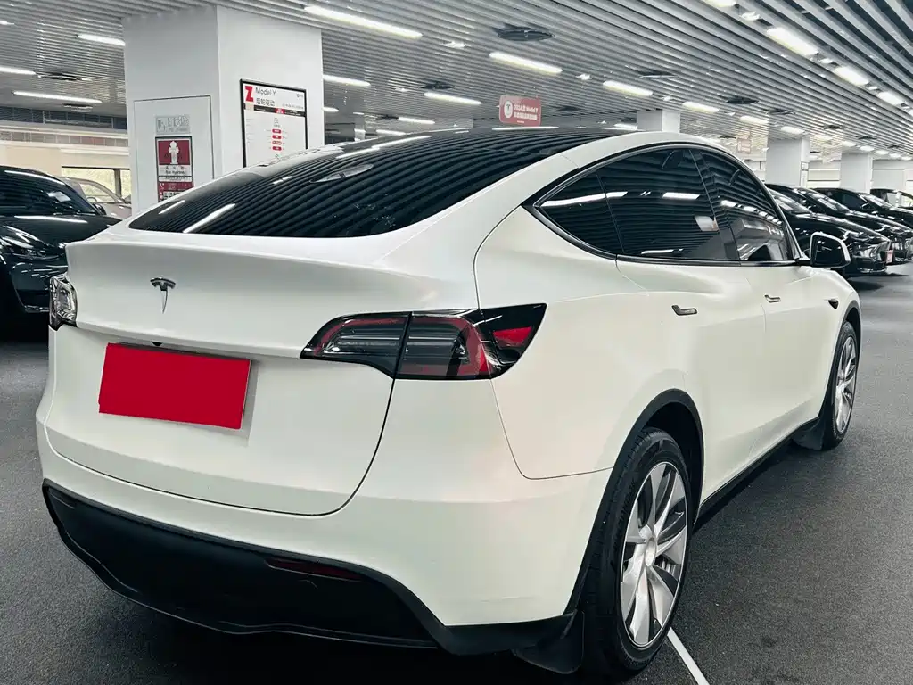 Tesla Model Y — миниатюра 7