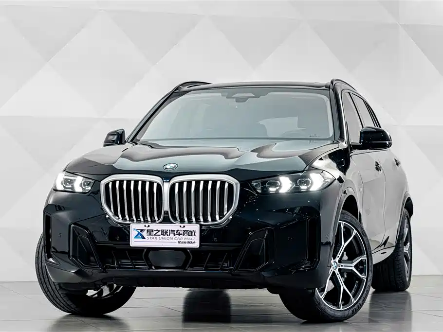 BMW X5 — миниатюра 2