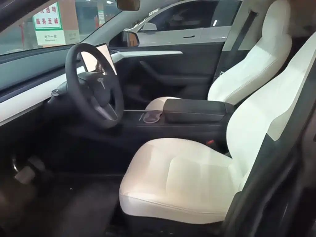 Tesla Model Y — миниатюра 15
