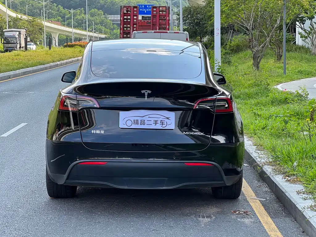 Tesla Model Y — миниатюра 6