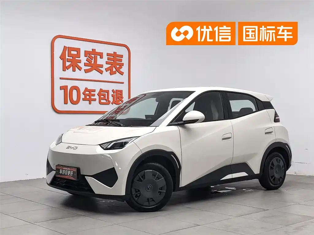 2025 BYD Seagull - zdjęcie 1 z 24