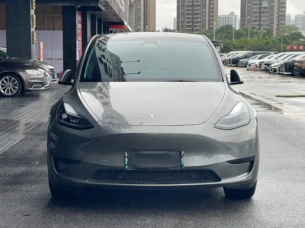 Tesla Model Y — миниатюра 2