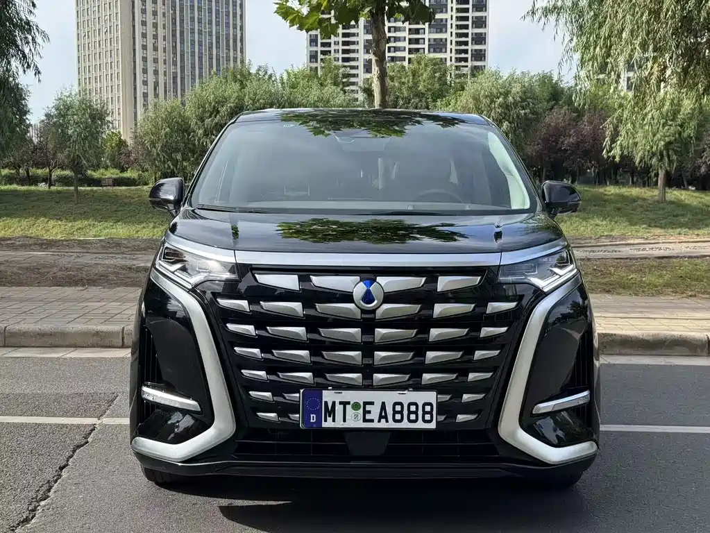Denza Denza D9 — миниатюра 2