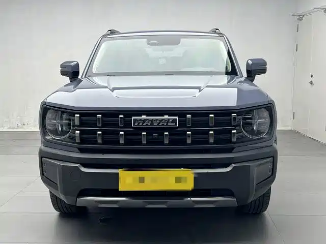 Haval Cool Dog — миниатюра 2