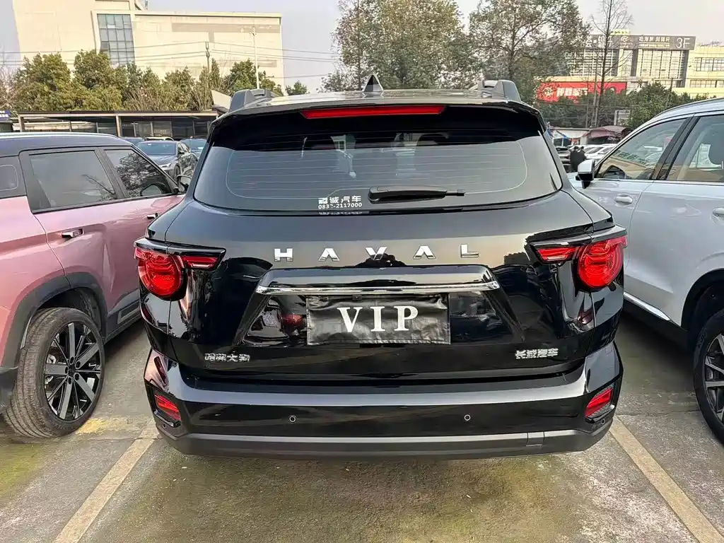 Haval Big Dog PLUS — миниатюра 18