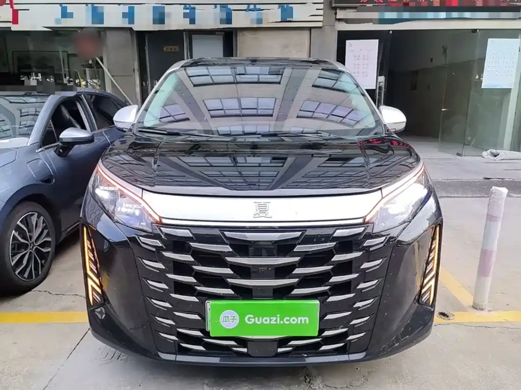 BYD Xia — миниатюра 3