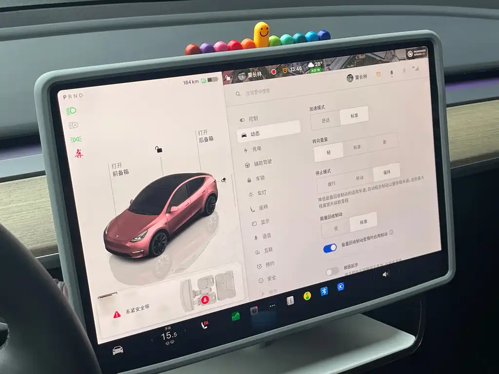 Tesla Model Y — миниатюра 16