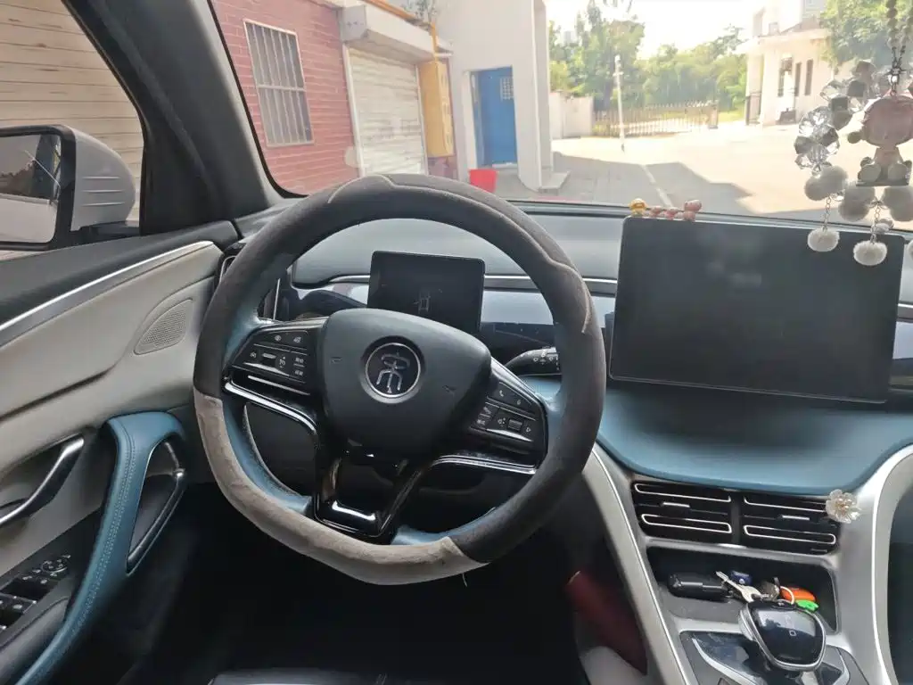 BYD Pro — миниатюра 3
