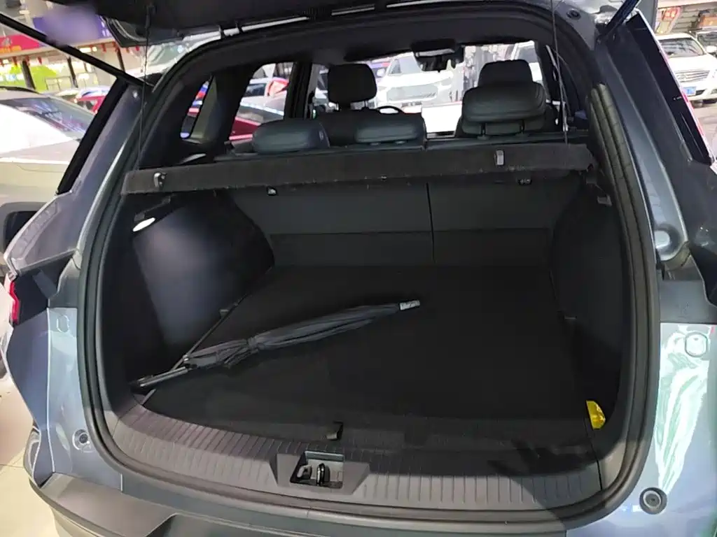 BYD Pro New Energy — миниатюра 19