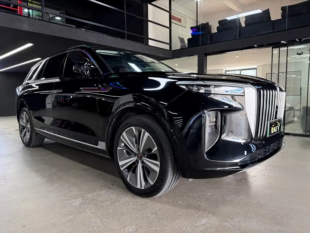 Hongqi Hongqi E-HS9 — миниатюра 3