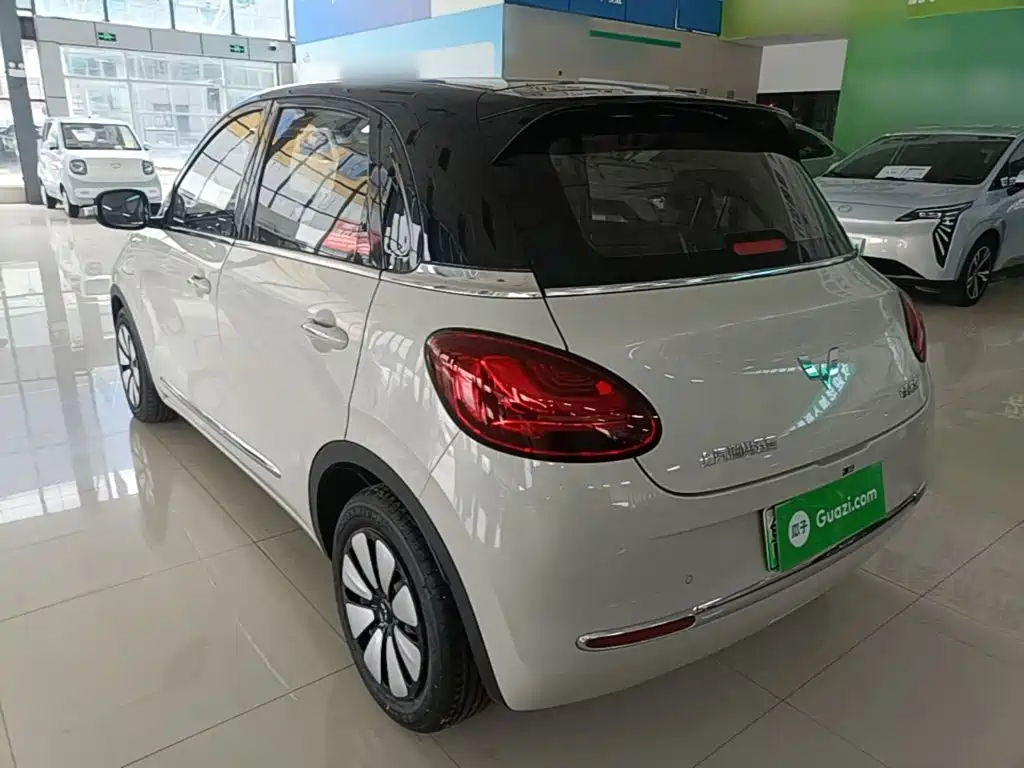 Wuling Binguo 2024 333km Enjoy