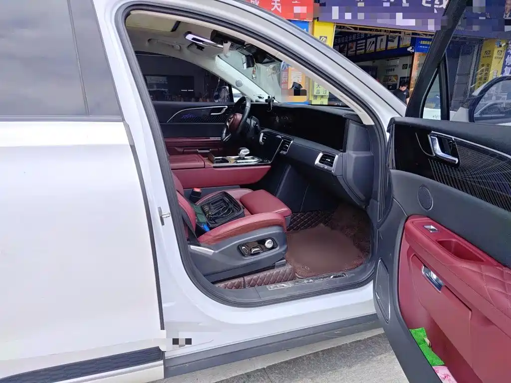 Hongqi Hongqi E-HS9 — миниатюра 18