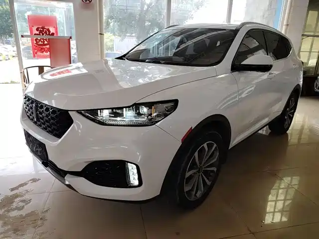 2019 Wey VV6