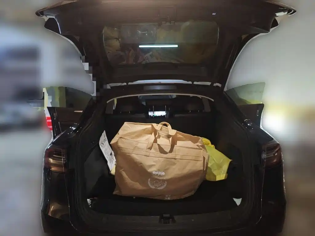 Tesla Model Y — миниатюра 15