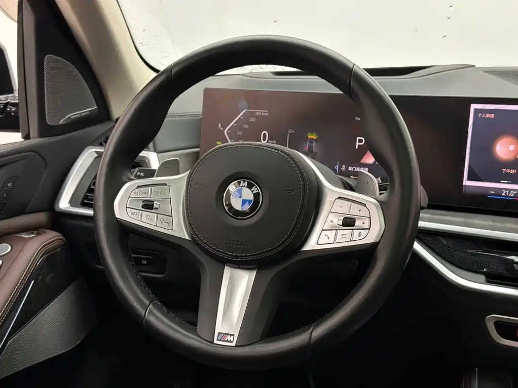 BMW X5 — миниатюра 12