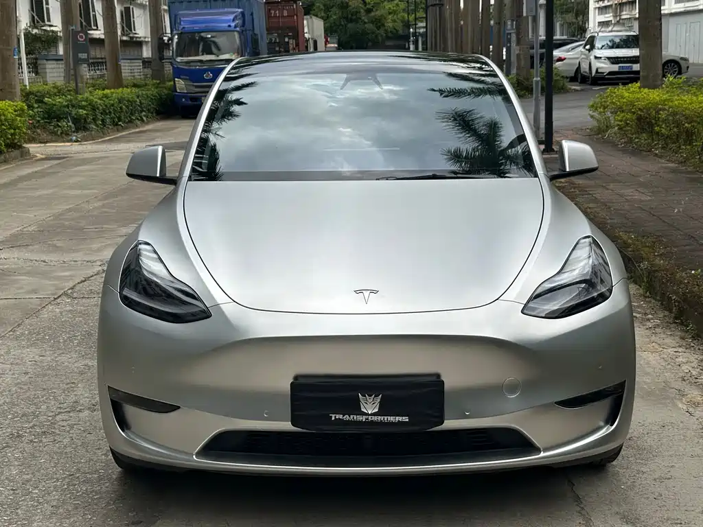 Tesla Model Y — миниатюра 2