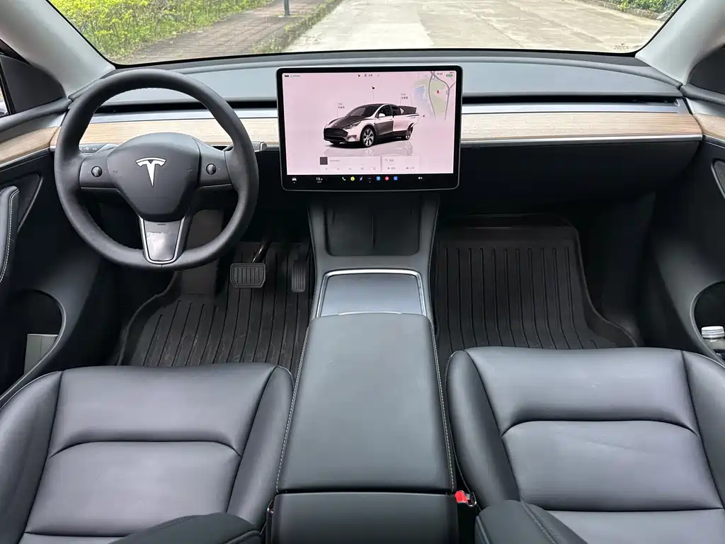 Tesla Model Y — миниатюра 11