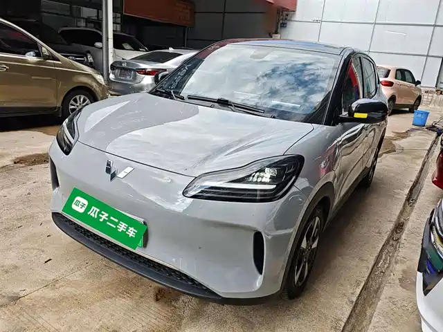 WULING AUTOMOBILE WULING BINGGUO PLUS 2024