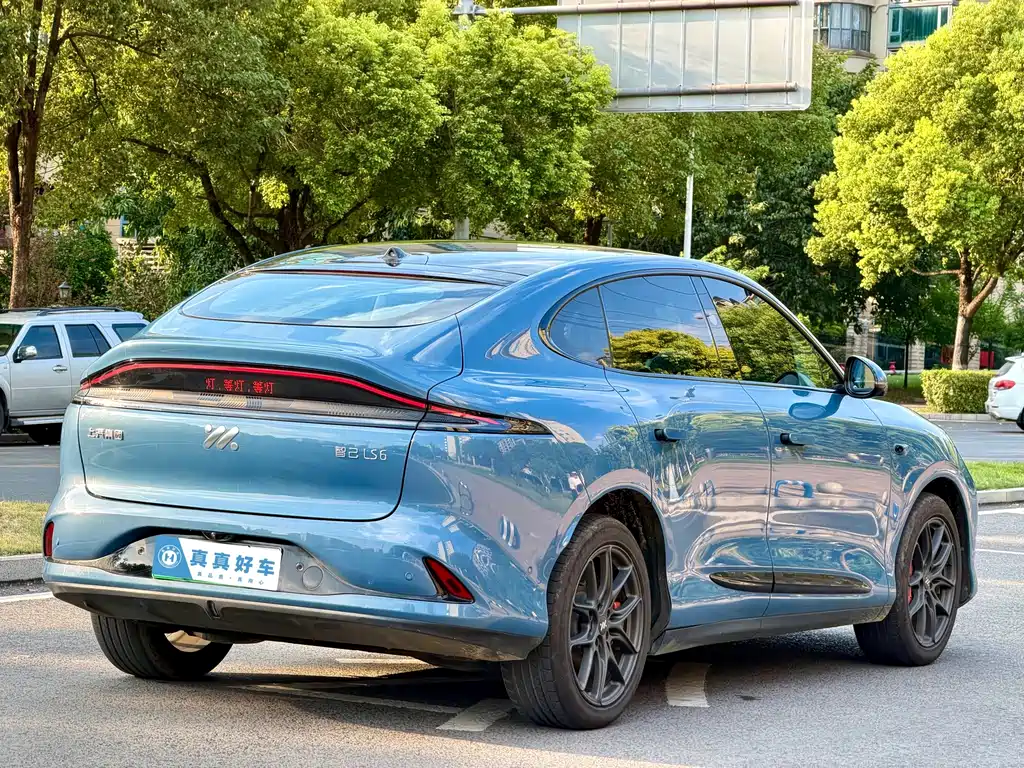IM IM LS6 — миниатюра 6