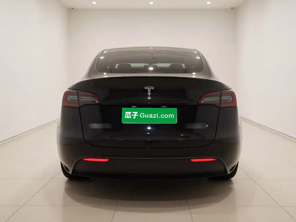 Tesla Model Y — миниатюра 3