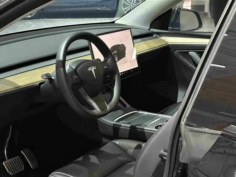 Tesla Model Y — миниатюра 7