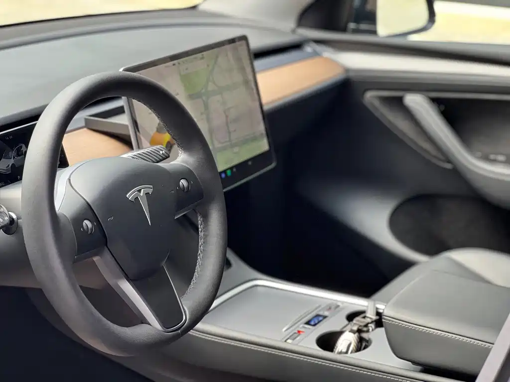 Tesla Model Y — миниатюра 5