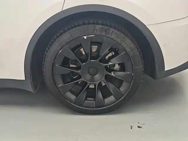 Tesla Model Y — миниатюра 10