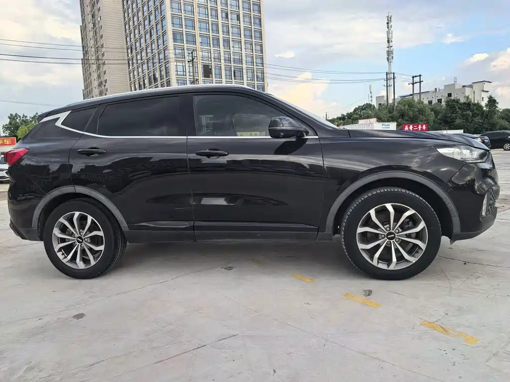 Wey Wey VV6 — миниатюра 4
