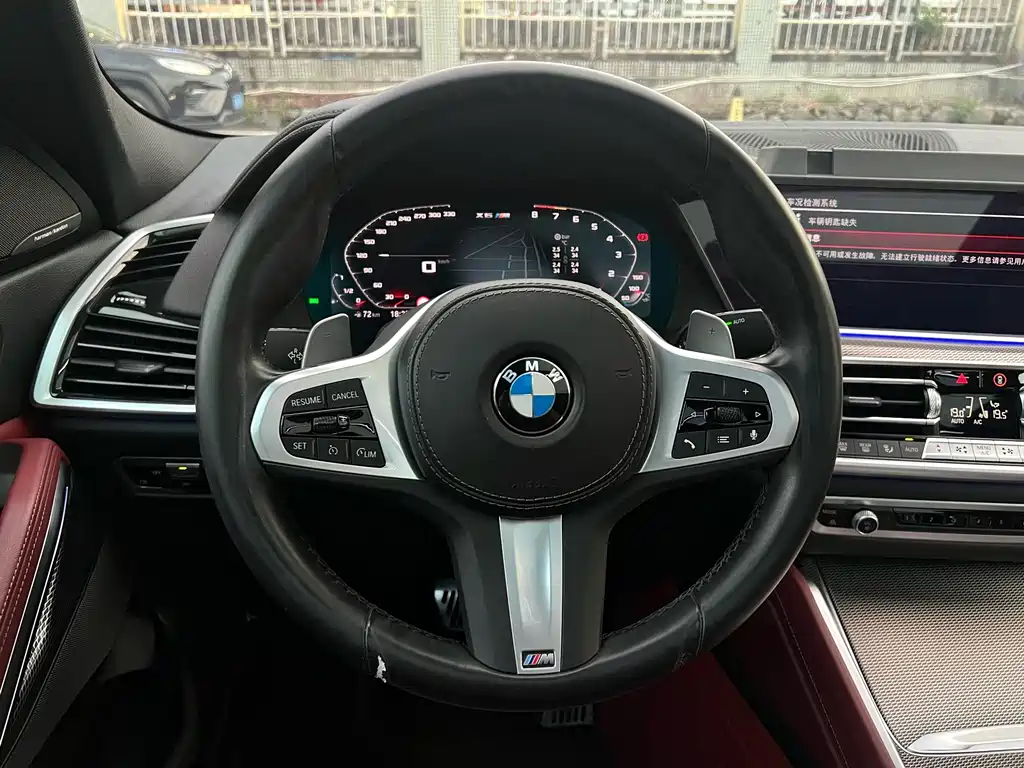 BMW X6 — миниатюра 12