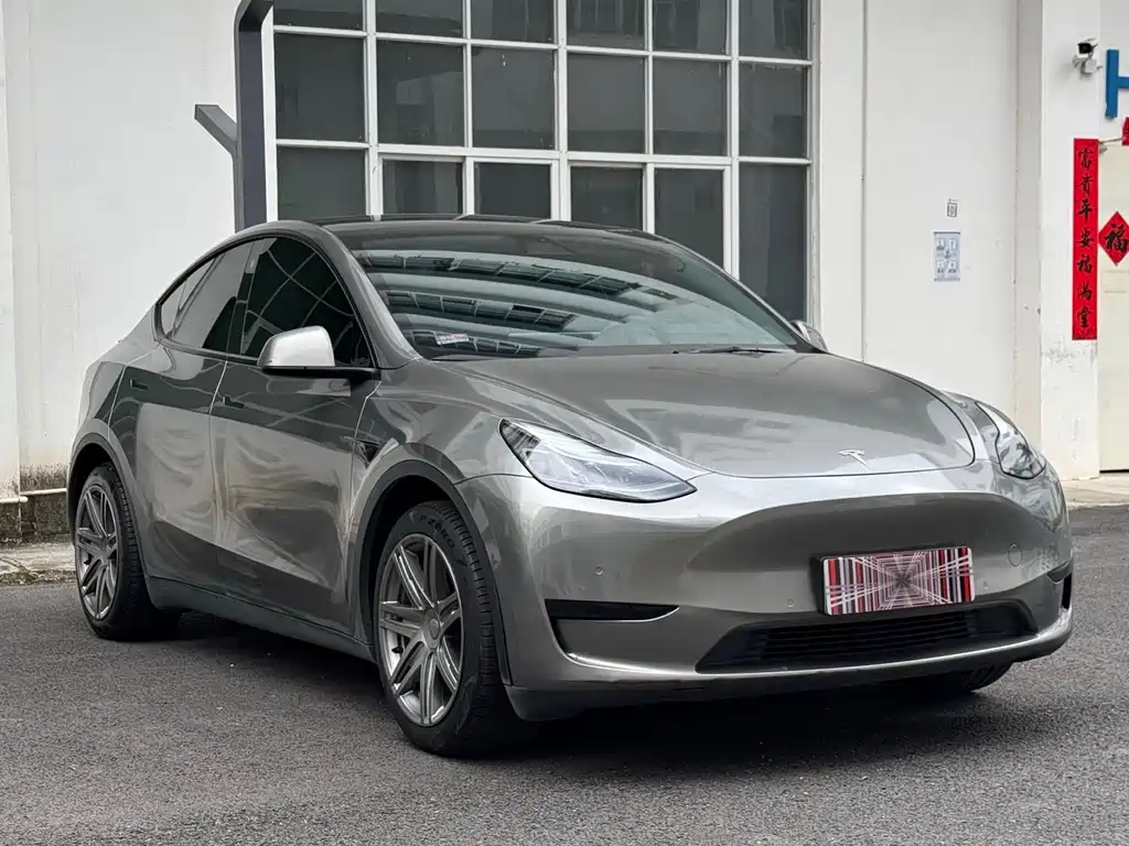 Tesla Model Y — миниатюра 3
