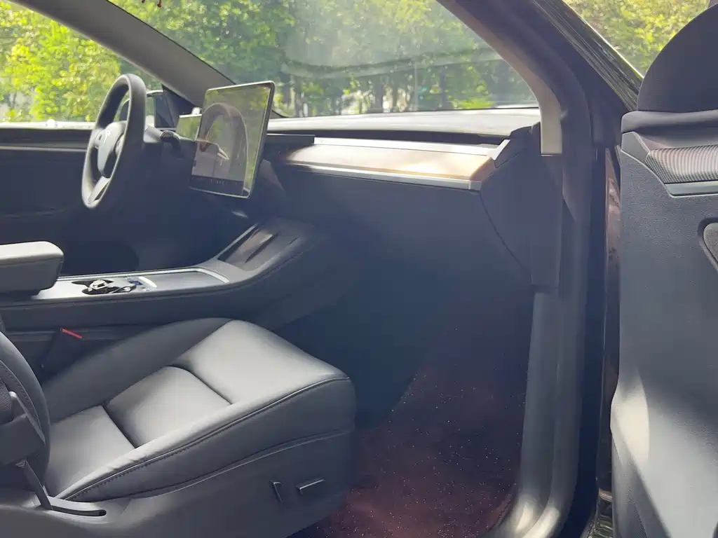 Tesla Model Y — миниатюра 15
