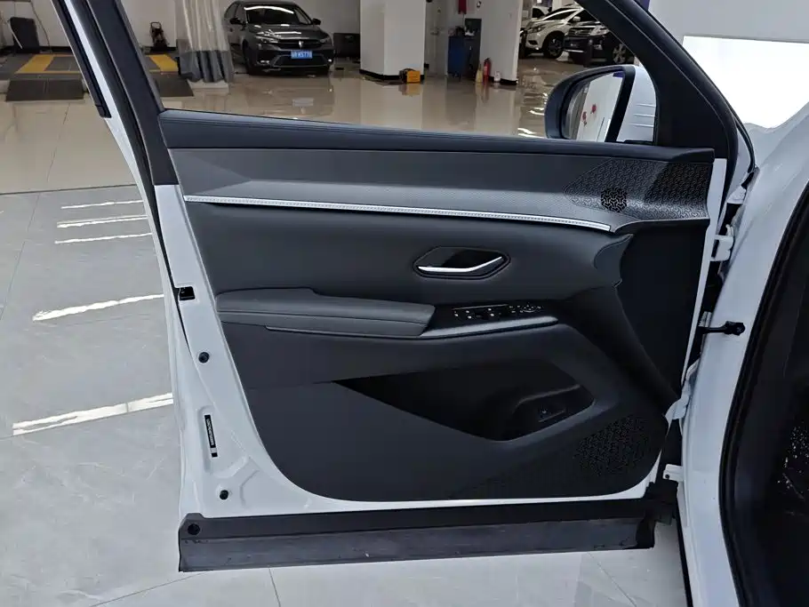 BYD Pro New Energy — миниатюра 7