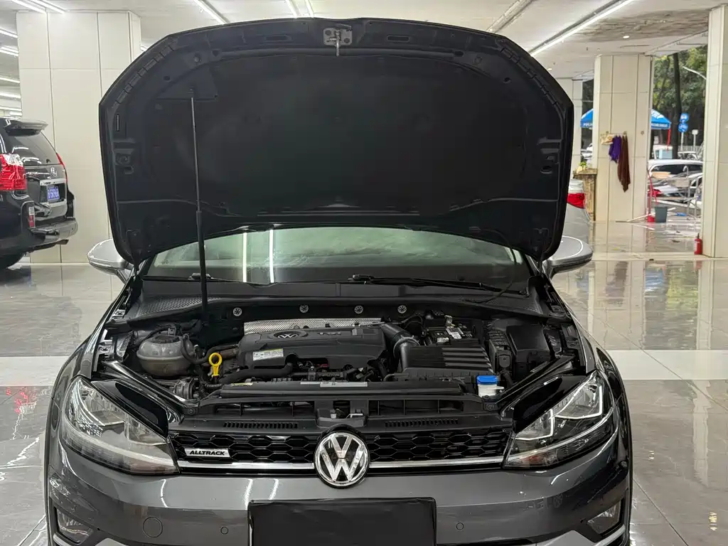 Volkswagen Golf (Import) — миниатюра 13