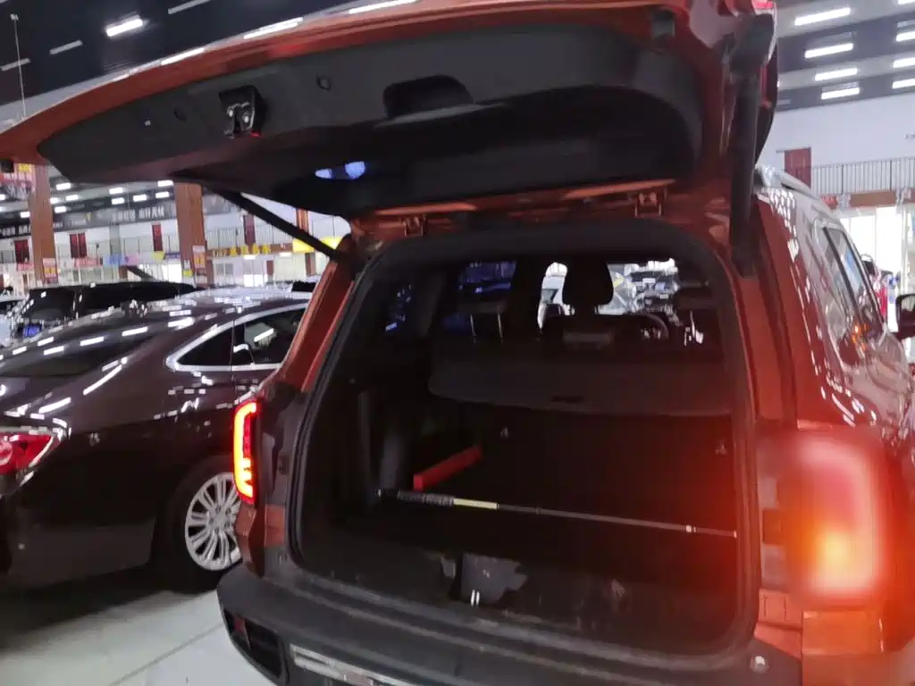 Haval Big Dog — миниатюра 19
