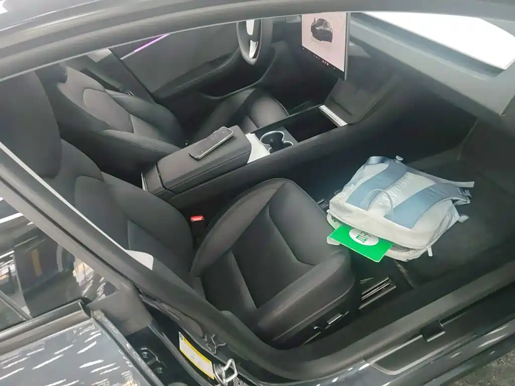 Tesla Model 3 — миниатюра 25