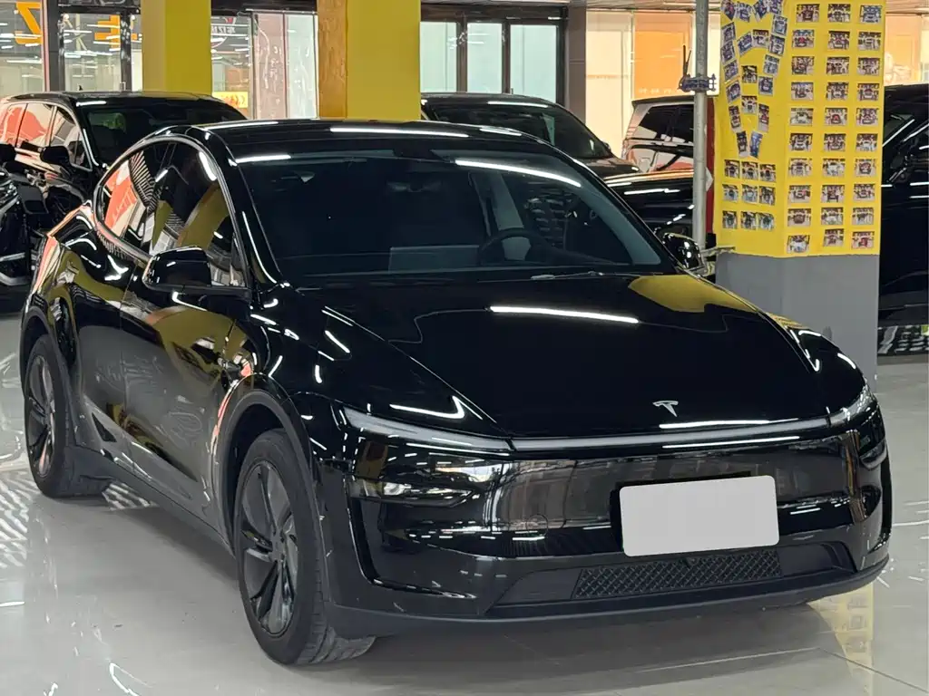 Tesla Model Y — миниатюра 3