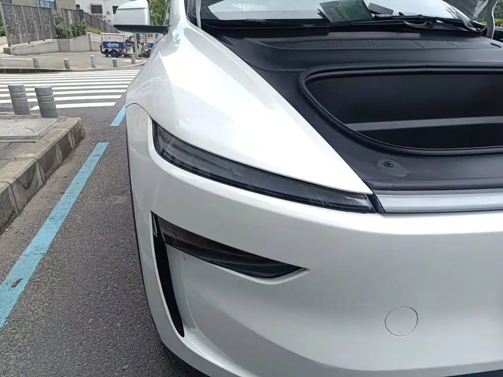 Tesla Model Y — миниатюра 7