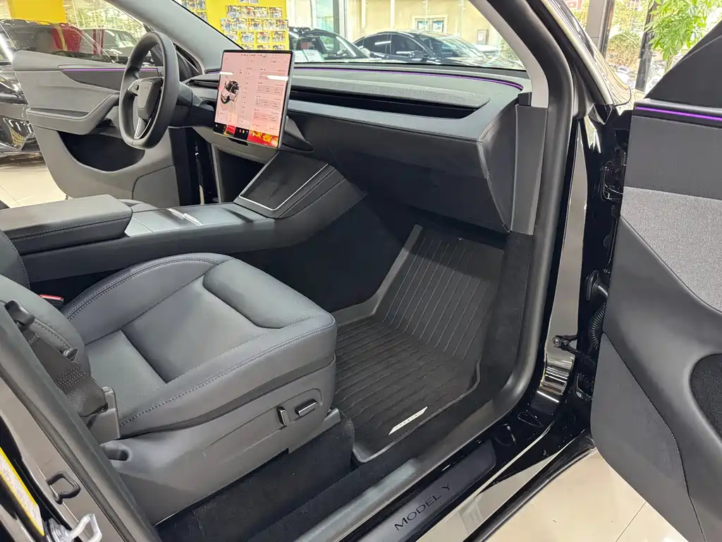 Tesla Model Y — миниатюра 8