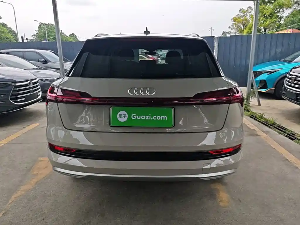 Audi e-tron (Import) — миниатюра 6