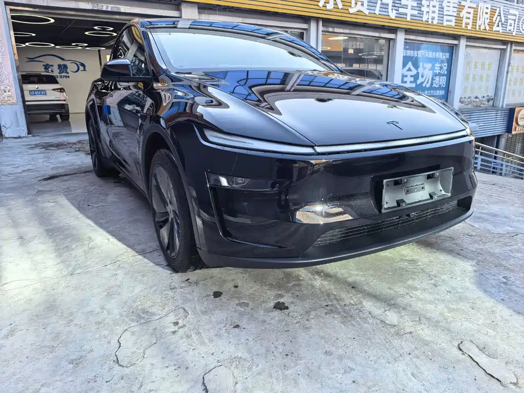 Tesla Model Y — миниатюра 3