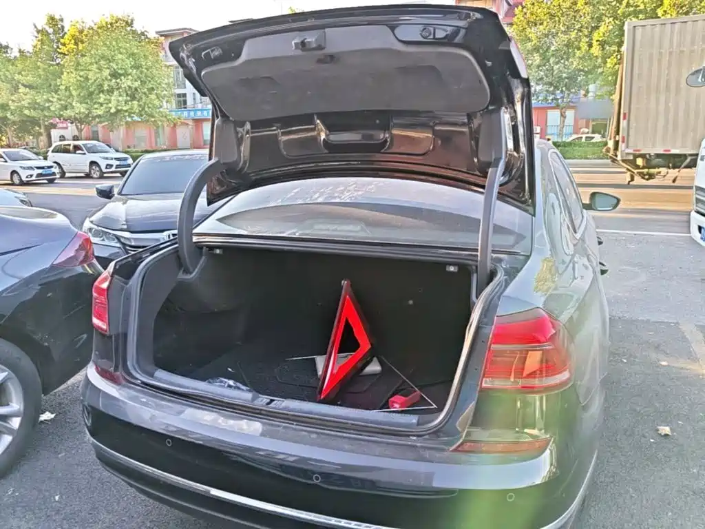 Volkswagen Passat — миниатюра 19