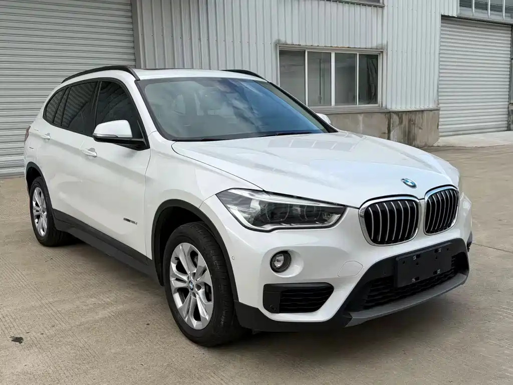 BMW X1 — миниатюра 2