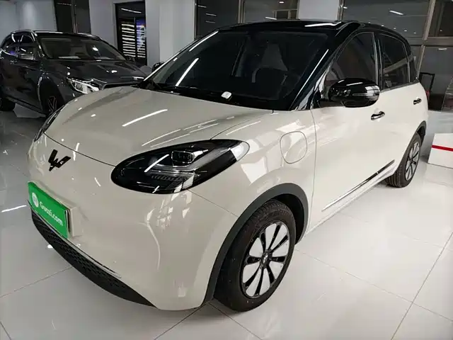 2024 Wuling Motors Binguo