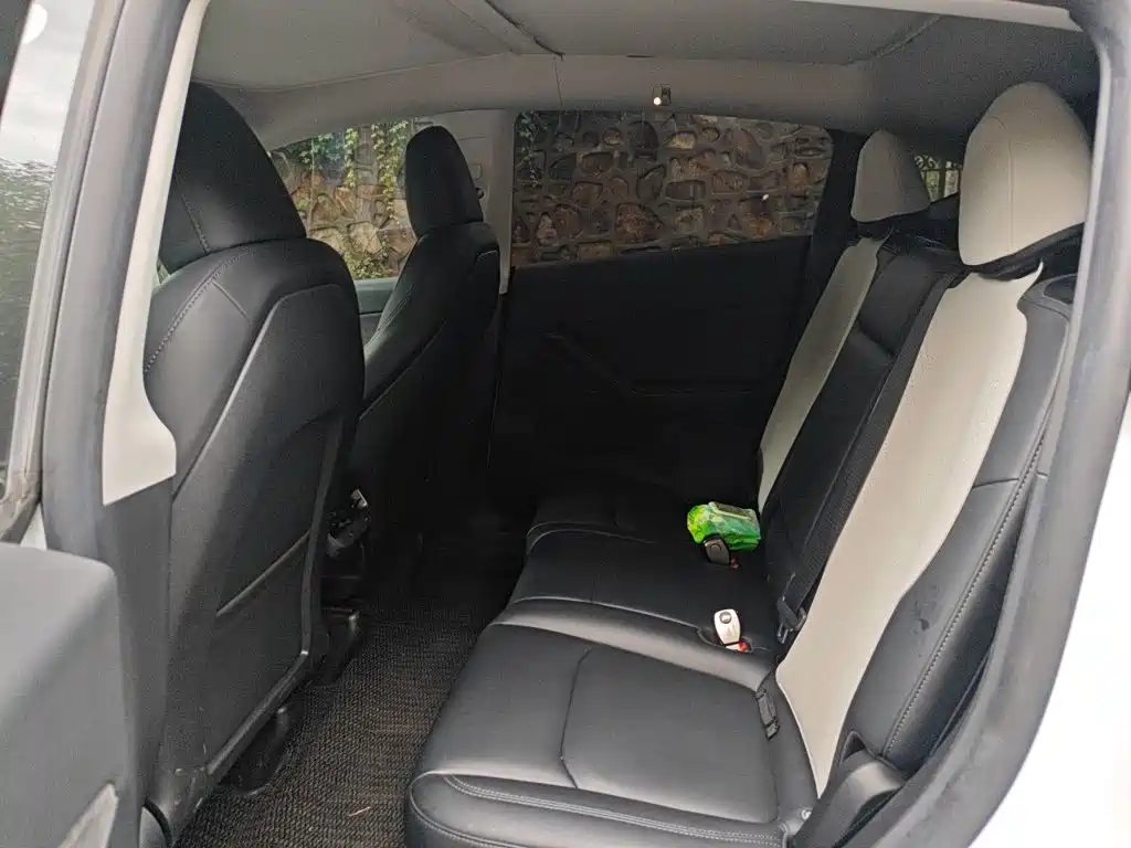 Tesla Model Y — миниатюра 13