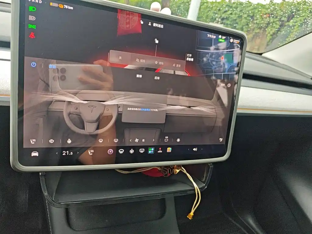Tesla Model Y — миниатюра 9