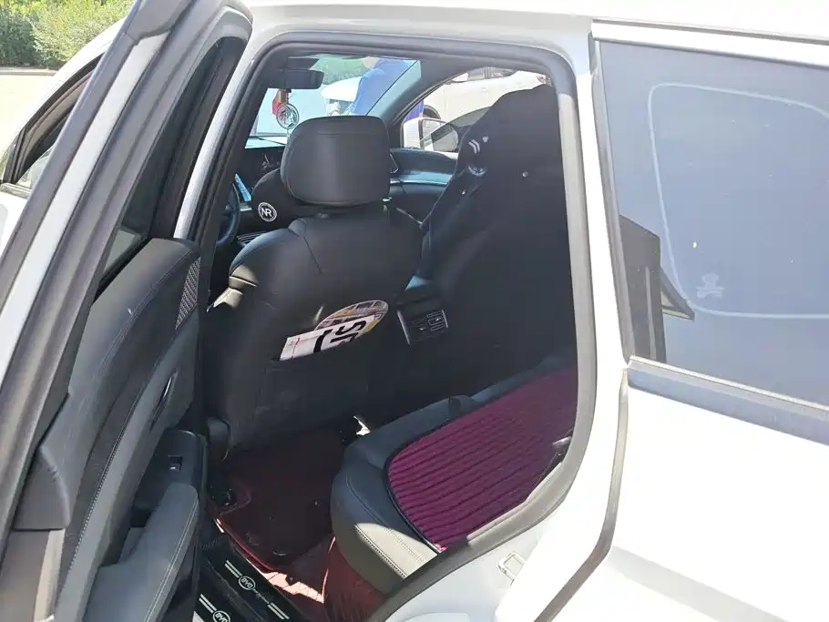 BYD Pro New Energy — миниатюра 10