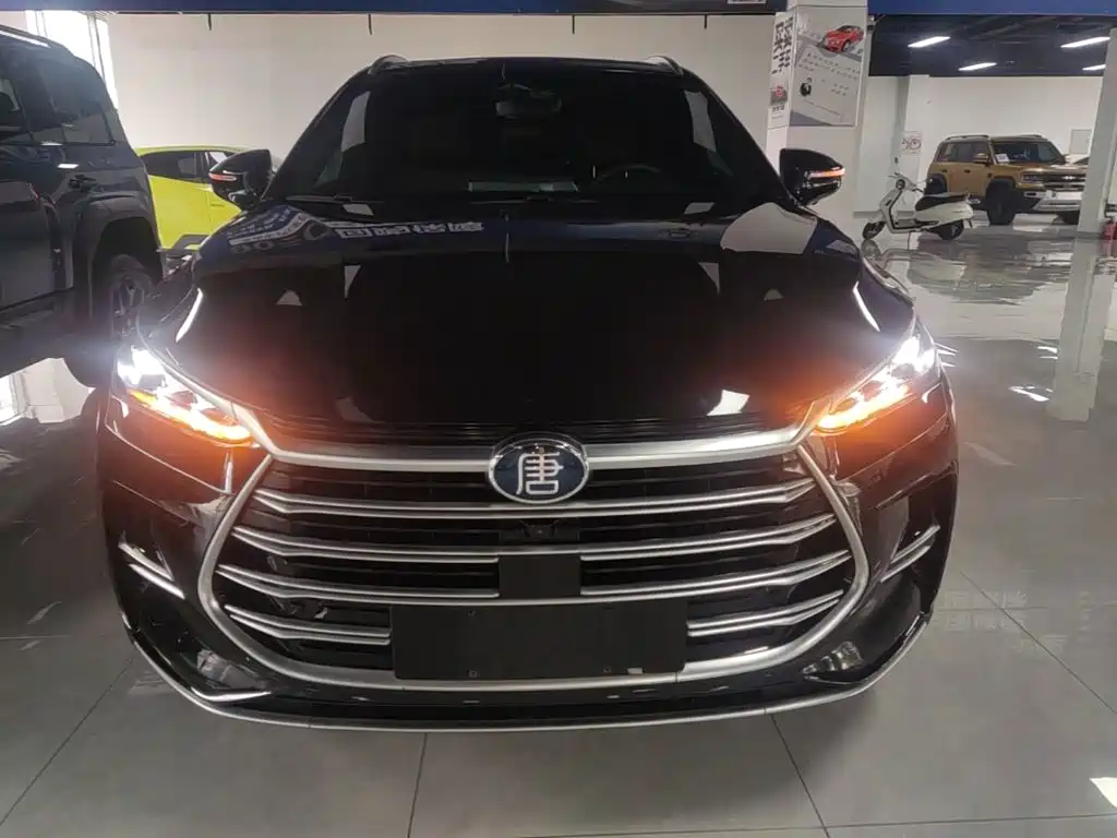 BYD Tang New Energy — миниатюра 3