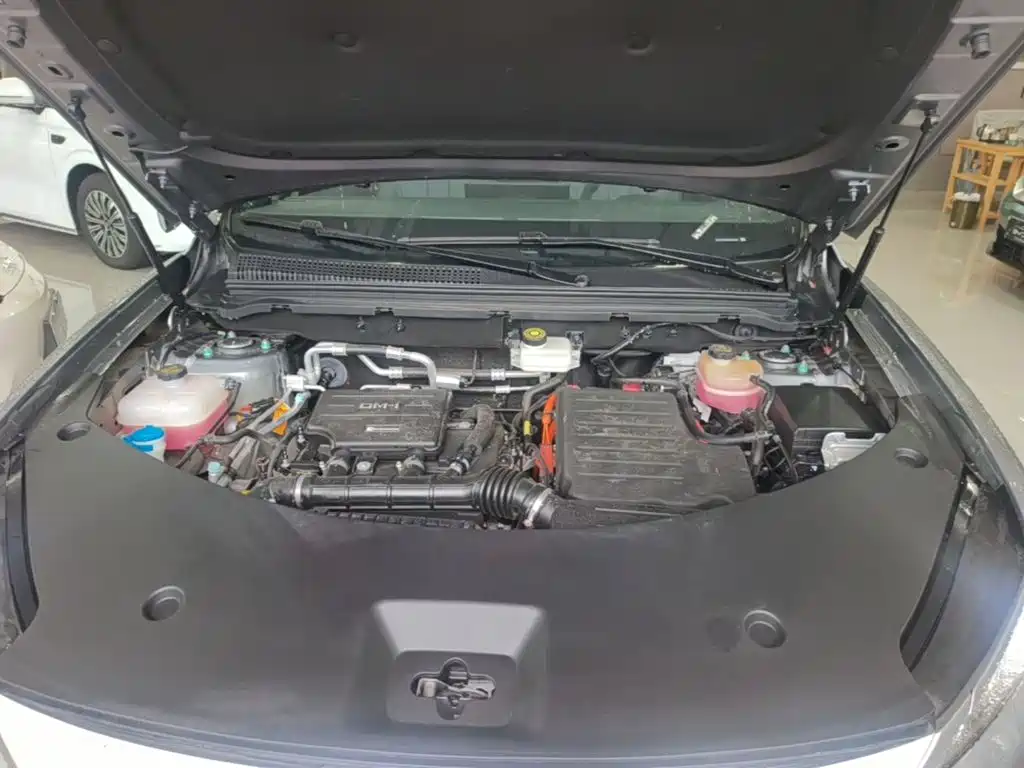 BYD Pro New Energy — миниатюра 20